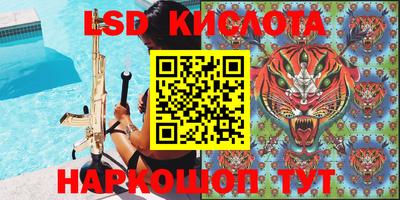 PSILOCYBIN Заволжье