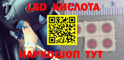 PSILOCYBIN Заволжье
