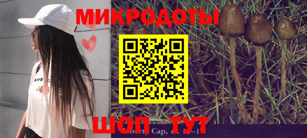 Галлюциногенные грибы мухоморы  Галлюциногенные грибы ЛСД  Камень-на-Оби 